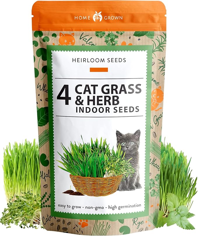 HOME GROWN 3200+ Cat Grass – 𝗡𝗢𝗡-𝗚𝗠𝗢 𝗨𝗦𝗔 Grown Catnip, Alfalfa, Oat, Cat Grass Mix – Indoor Cat Grass Kit Refill – High-Germination Pet Grass for Hairball Relief & Digestion