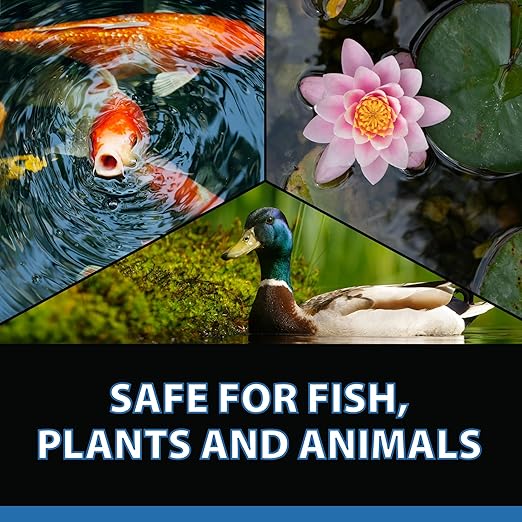 CrystalClear Barley Extract Water Garden & Fountain Clarifier, Natural Liquid Concentrate to Treat Cloudy Ponds, Koi Fish, Plant & Pet Safe, 1 Gallon