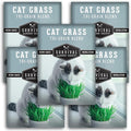 Cat Grass Seed for Planting - 5 Packets with Instructions to Plant & Grow Greens for Your Pet Indoors or Outdoors in a Container or Garden - Non-GMO Heirloom Variety - Survival Garden Seeds