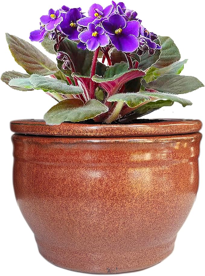 African Violet Pots Self Watering Round Ceramic Violet Pot (Copper, 6 inch)