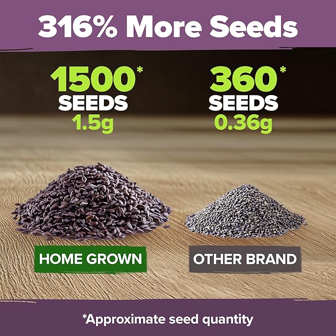 HOME GROWN 𝗨𝗦𝗔 𝗣𝗥𝗘𝗠𝗜𝗨𝗠 English Lavender Seeds 1,500+ 𝗡𝗢𝗡-𝗚𝗠𝗢 Wildflower Seed for Planting Indoor/Outdoor, High Germination, Plant Flower Seeds (Lavandula antustifolia)