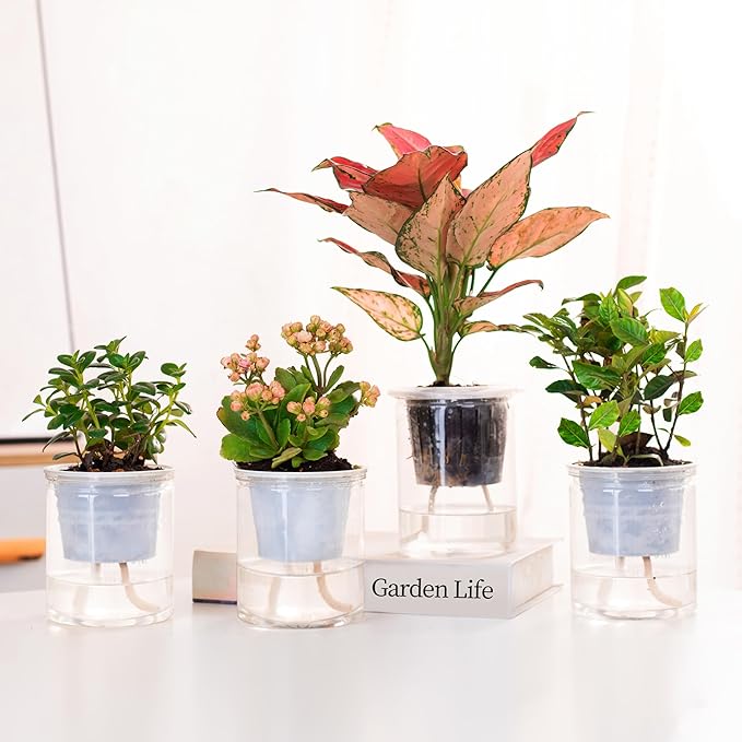 ORIMERC 150 feet 1/6 inch Self Watering Capillary Wick Cord Vacation Plant Sitter DIY Hydroponic Wicking Rope Seeds Start Planter Pot Automatic Potted Flower Passive Lazy Waterer String System Device