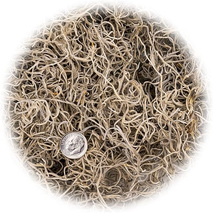 Premium Natural Spanish Moss | Natural Preserved - Great Ground Cover - Filler for Potted Plants - by GARDENERA - 4 Quart Bag