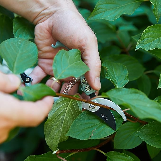 Modern Sprout Hand Pruners - Lightweight Pruning Shears W/Easy Lock- Gardening Scissors - Bypass Sharp Carbon Steel Blade - Rust Resistant - Garden Tools - Reusable Holster - Green
