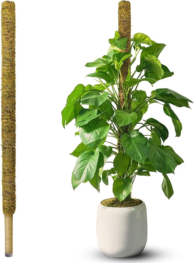 DUSPRO 59 Inches Non-Bendable Pole for Big Plants, Large Moss Pole for Plants Monstera, Plant Stakes for Indoor Plants, Monstera Plant Support, Plant Pole for Big Climbing Plants Indoor (1pc., 59'')