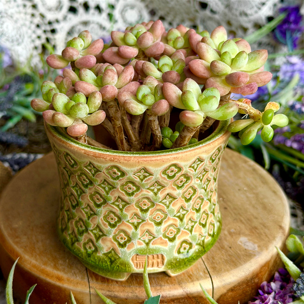 WS-0062 Artisan Handcrafted Pottery Planter Pot - Pot Rim Diameter: ~3"