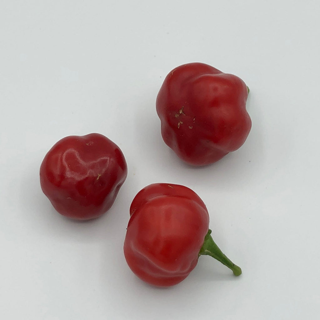 Red Savina - Seeds