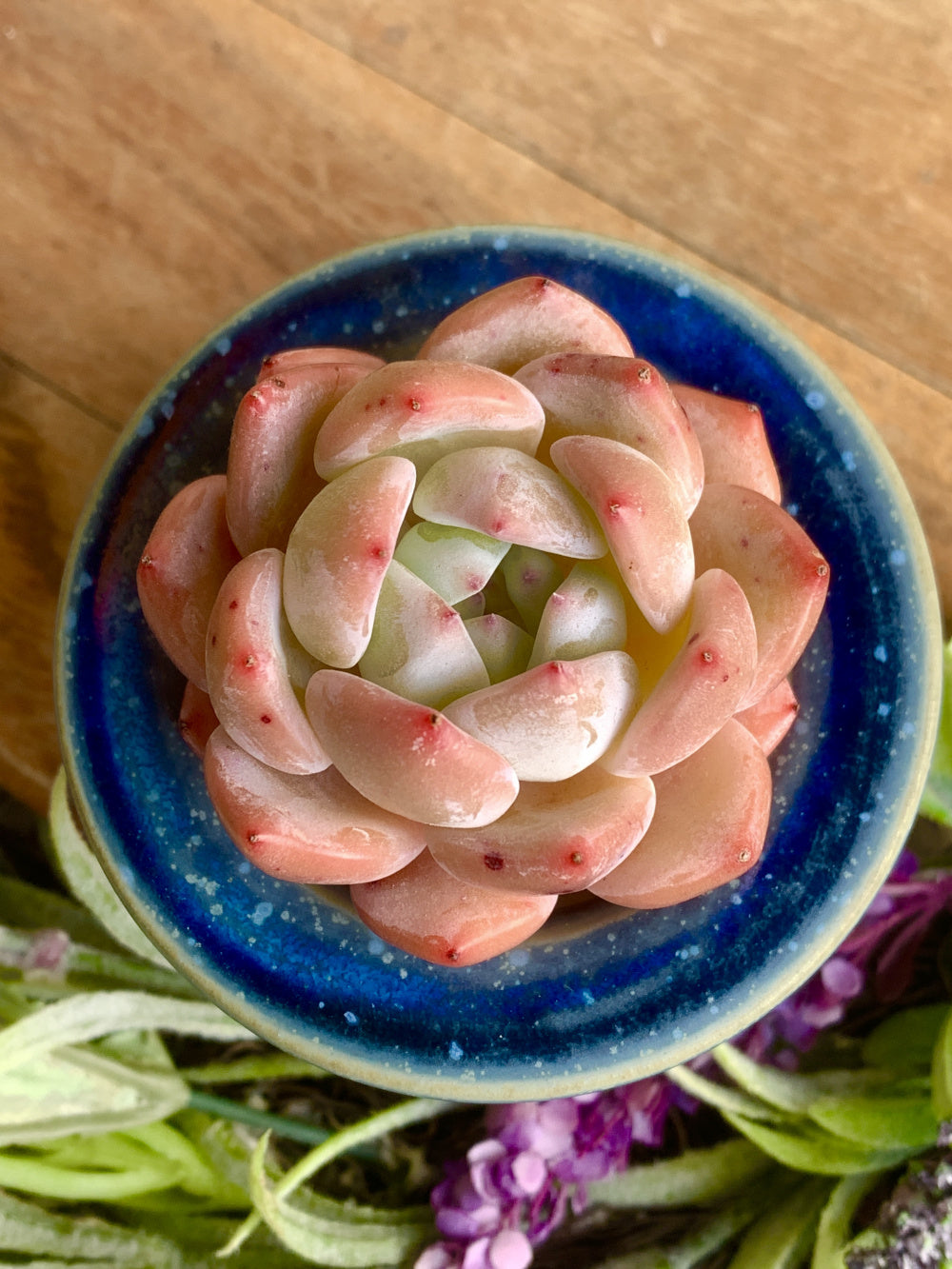 SC-0021 Unique Handmade Pottery Planter Pot - Pot Rim Diameter: 2.2"