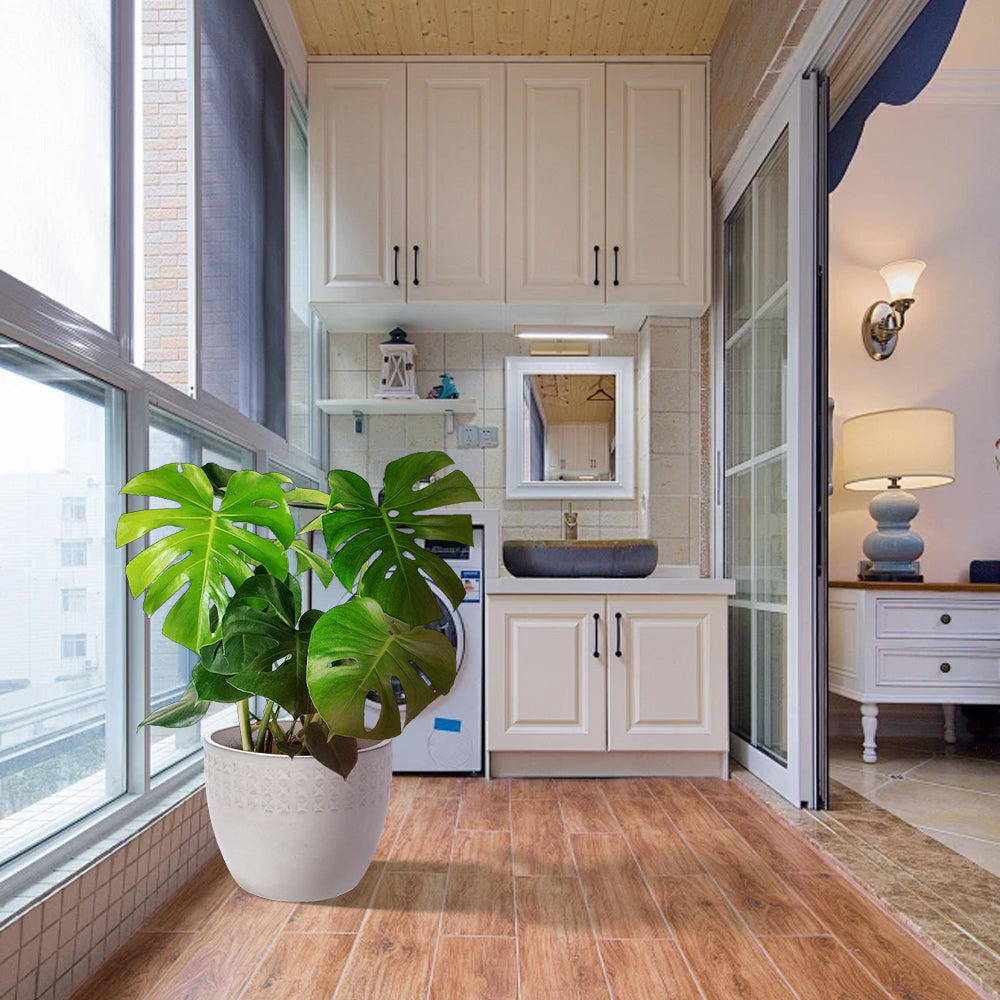 Set of 3 Ceramic Flowerpot, Modern Planter for Patio, Garden, Windowsill - Ancient White