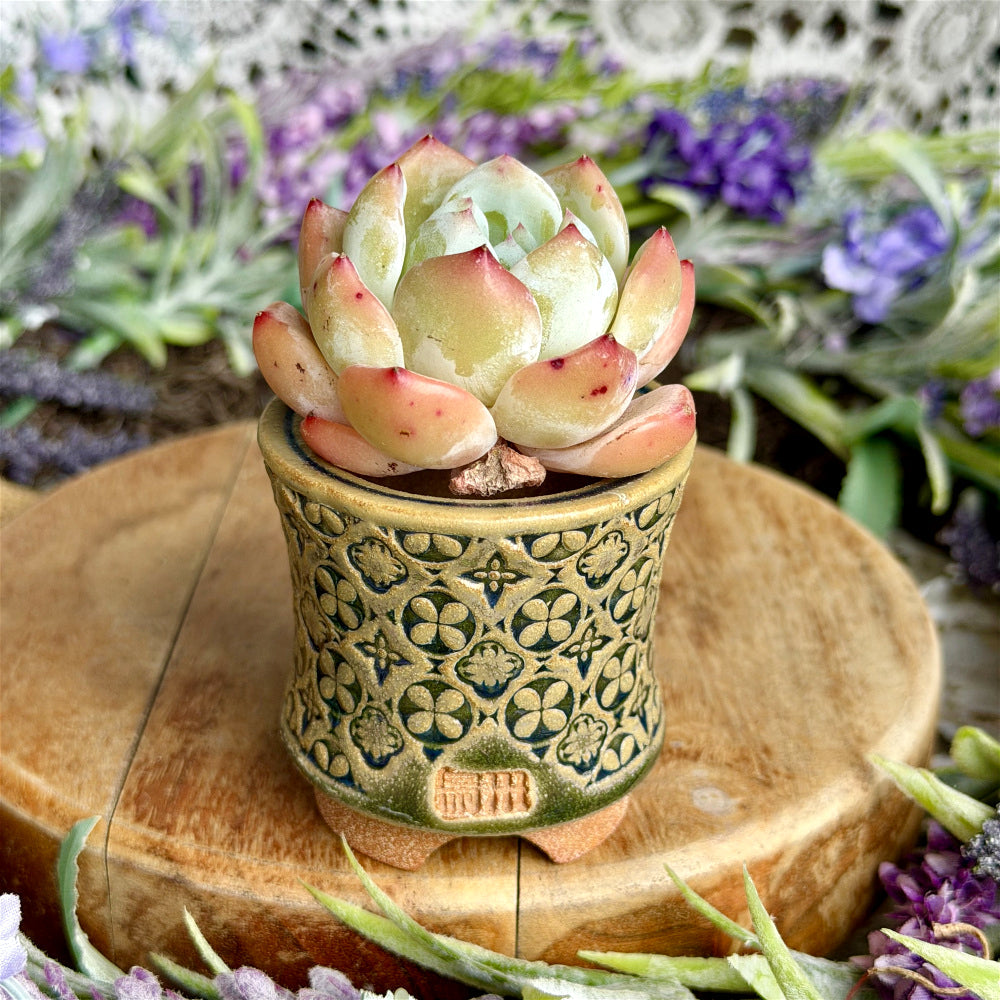 WS-0043 Rustic Handmade Clay Planter Pot - Pot rim diameter: 1.8"