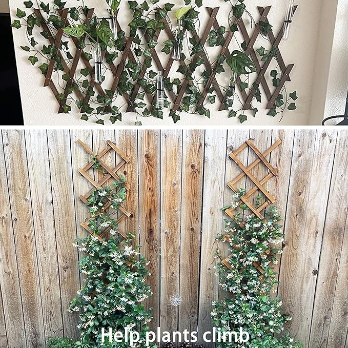 Wooden Lattice Wall 2Pack-Expandable Plant Garden Trellis for Climbing Plants Outdoor Air Plant Vertical Rack Wall Decor for Room Patio