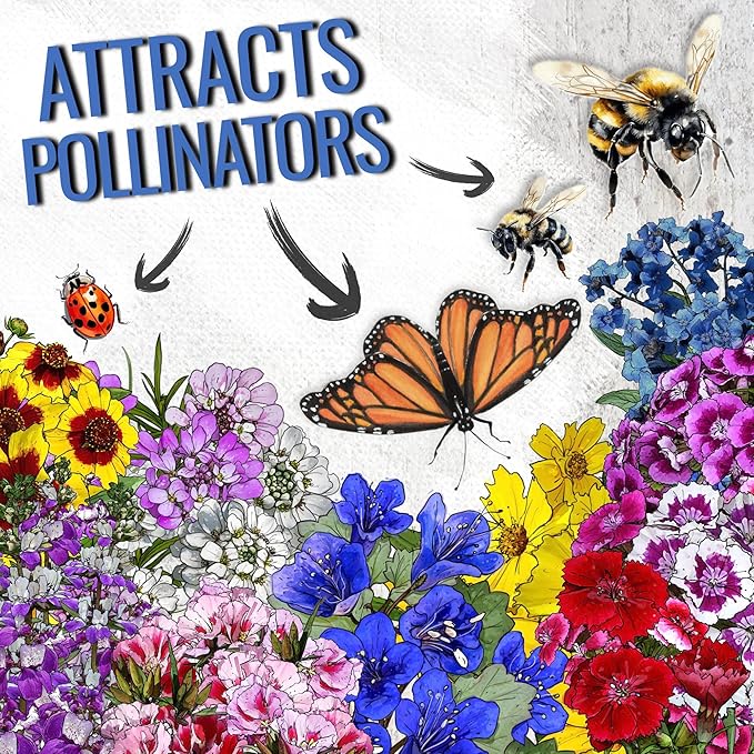 Seed Needs Low Growing Wildflower Flower Seeds for Planting | 10 Packs (1 Ounce Each) Mixture/Blend 17 Varieties | Resealable Package Multicolored Blooms Open Pollinated Mixed Species | Bulk