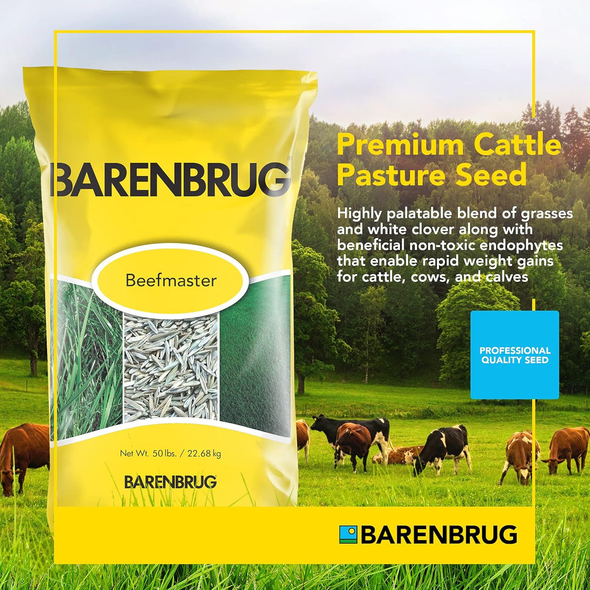 Barenbrug Beefmaster Pro