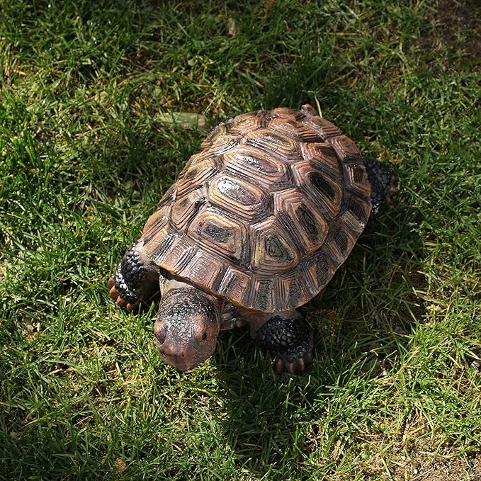 Turtle Statue, Resin Garden Sculpture Indoor/Outdoor Yard Lawn Ornament,Home Decor (Medium)