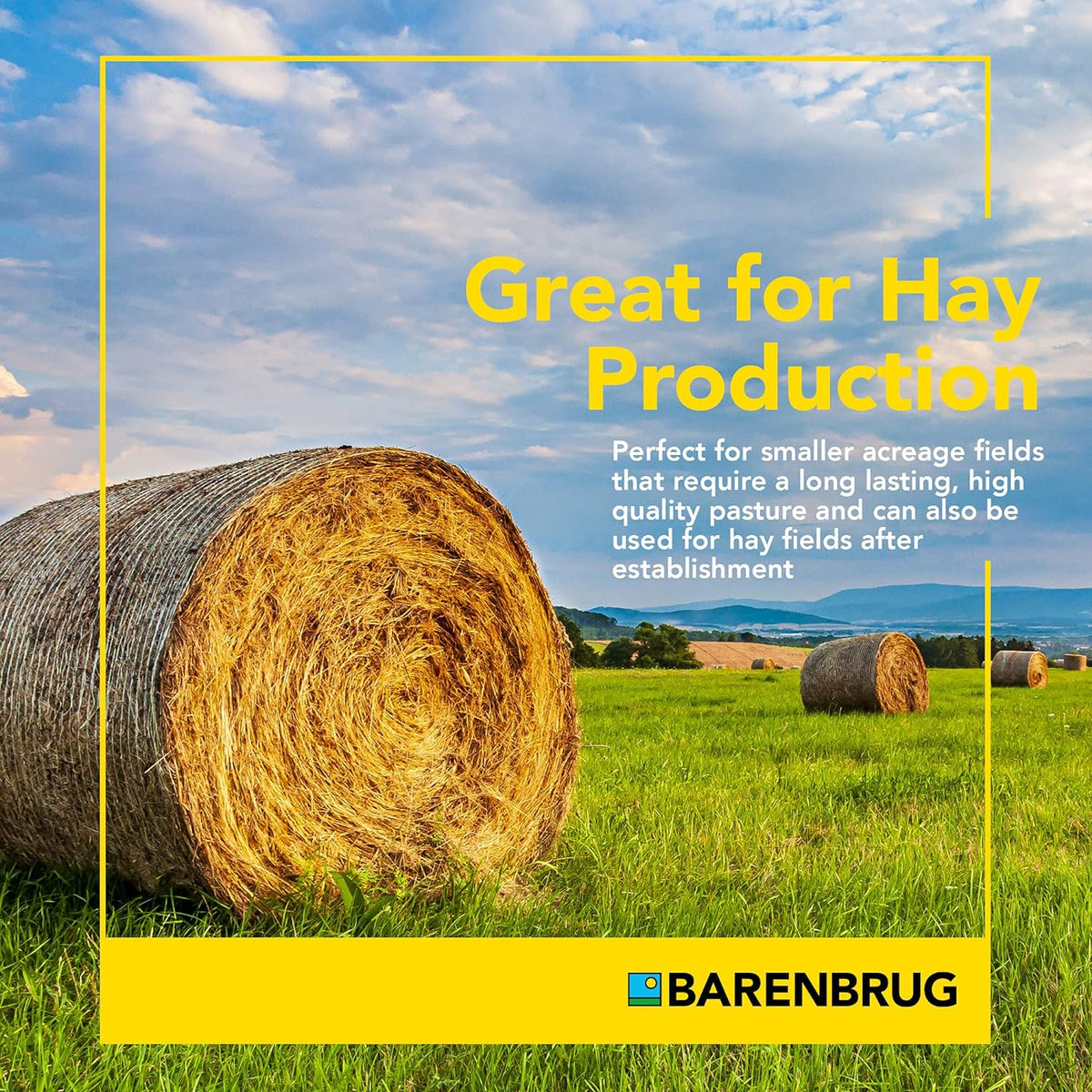 Barenbrug Dairymaster Pro