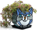 Indoor Plant Display Glass Container, Unique Pots for Plants, Glass Container Decoration,Suitable for Growing Small Plants 4.6x5.15x3 in （Excluding Plants）