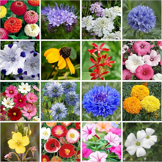 Wildflower Seed Shaker – Awesome Annual Mix by GevaGrow - 2 Ounce Shaker