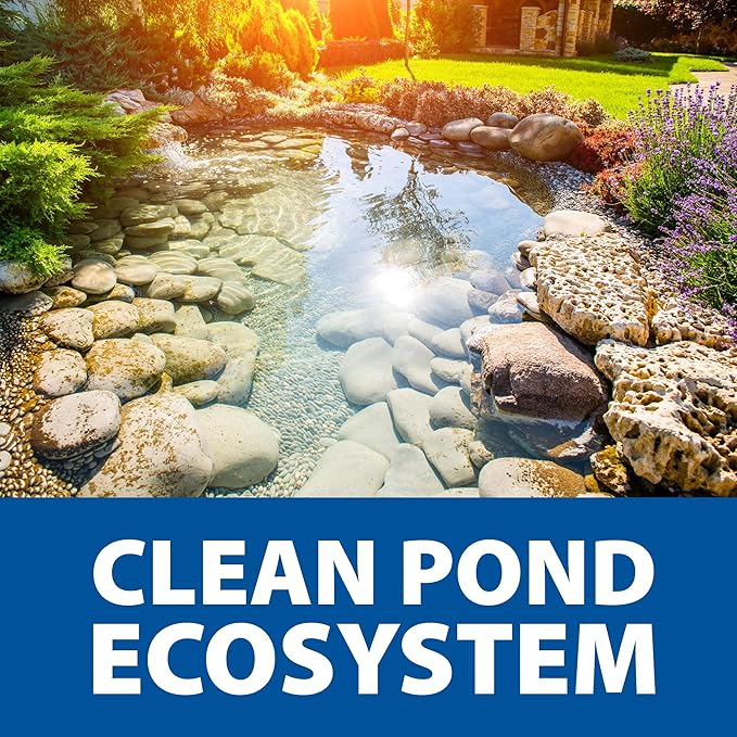 The Pond Guy Seasonal Defense, Spring & Fall Beneficial Bacteria, Barley & Enzymes, Cold Water Pond Sludge & Scum Treatment, Fish & Plant Safe, 6 Packets