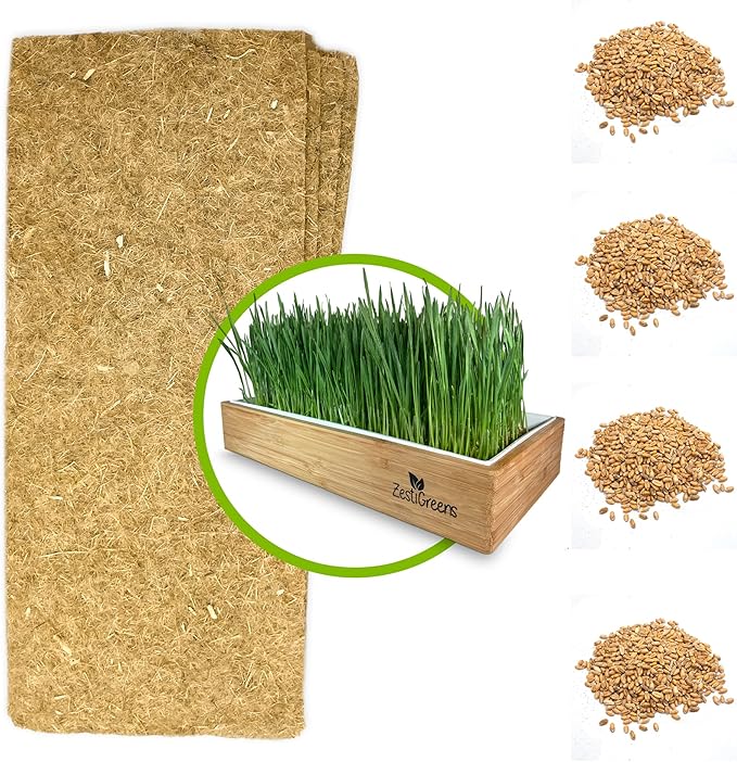 Cat Grass Refills for Self Watering Cat Grass Kit - 4 Mats and 4 Cat Grass Seed Packets (Cat Grass Refill Kit)
