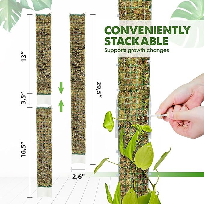 DUSPRO D-Shaped Plastic Moss Poles for Climbing Plants Monstera Stackable Moss Pole for Plants Moss Plant Pole Handmade Moss Stick for Indoor Plants Grow Upward 2 Pack 16.5 inches