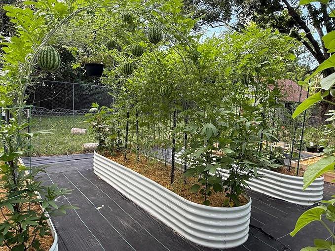 A ANLEOLIFE 12X3X1.5 ft Galvanized Raised Garden Beds Outdoor, Oval Extra Large Metal Planter Box for Planting Vegetables Flowers Herb, Anti-Rust & Easy-Setup, Antique White