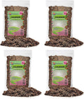 Caladium Potting Mix - Unlock Robust Growth and Striking Leaf Color with Our High-Performance Formula - 20 Quart