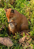 Hi-Line Gift Cuddling Mother and Baby Fox Garden Statue, Brown (87719-I)