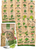 Organo Republic 25 Winter Vegetable Garden Seeds Variety Pack for Outdoors & Indoor Home Gardening 6500+ Non-GMO Heirloom Seeds: Broccoli Beet Carrot Collard Lettuce Radish Spinach Pea Kohlrabi