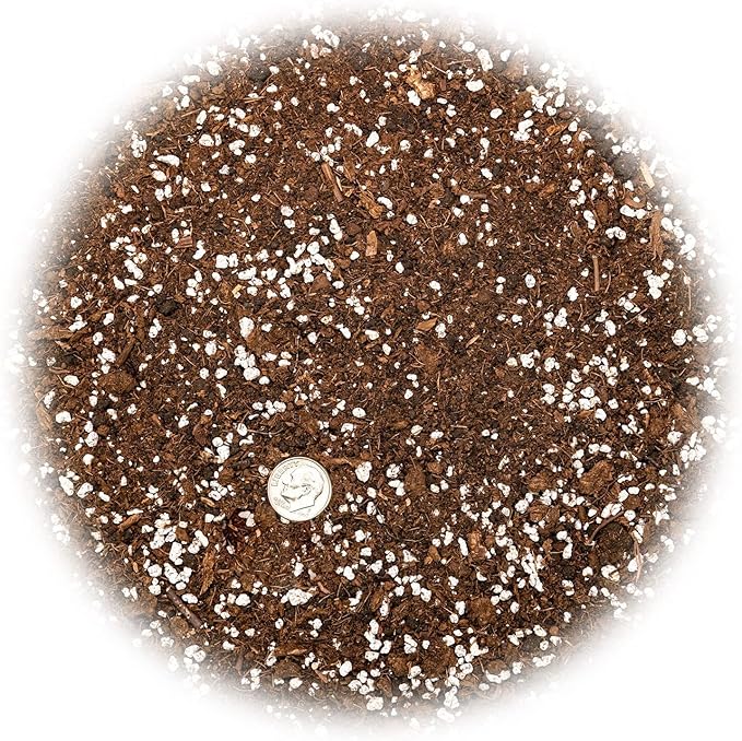 House Plant and Tropical Plant Potting Soil - Re-Potting Soil for All Types of Indoor House Plants - 4 Quart Bag