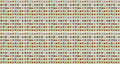 Black Duck Brand Set of 1000 Flower Seed Packets! Flower Seeds in Bulk - Best Value Seeds - Great for Classrooms, Beginner Gardeners and Kids! - Deluxe Varieties! (1000)