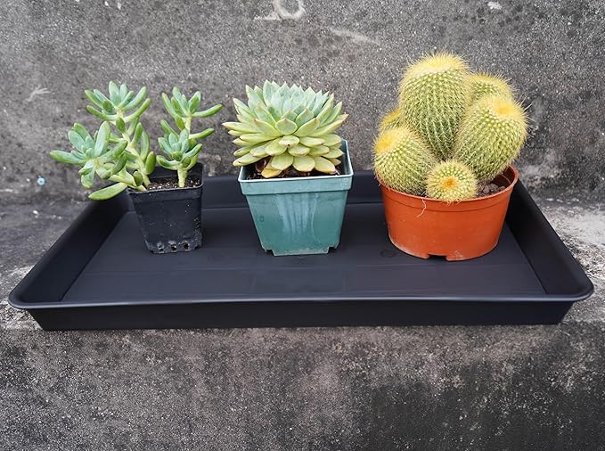 2 Pack Plant Growing Nursery 1020 Trays, Plant Saucer Tray, Heavy Sturdy Seed Starting Trays, Plant Saucer for Indoors No Holes, Seed Starter Growing Tray (22"x11.2", Black)