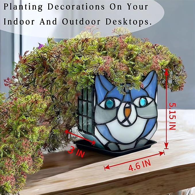 Indoor Plant Display Glass Container, Unique Pots for Plants, Glass Container Decoration,Suitable for Growing Small Plants 4.6x5.15x3 in （Excluding Plants）