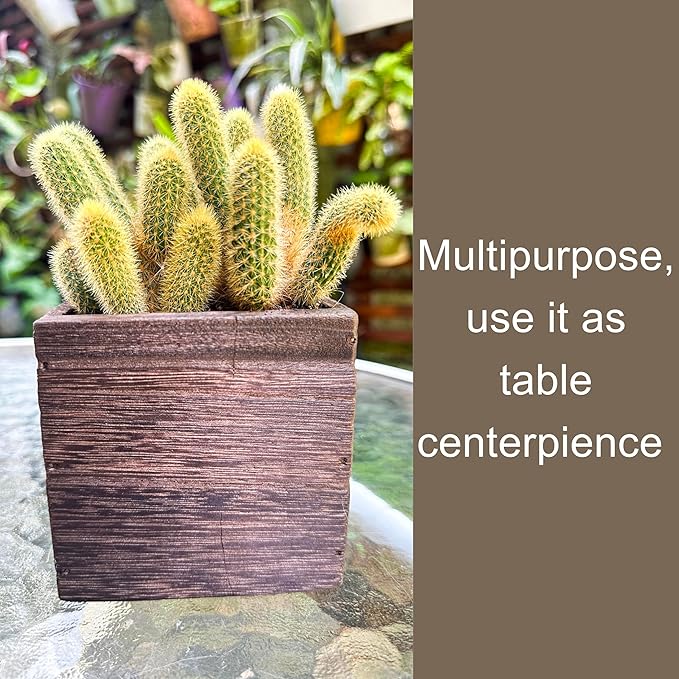 LaLaGreen Wood Planter Boxes for Indoor Plants (6 Pack, 4x4 Inch) Small Square Wall Mounted Planters Flower Pot, Herb Wooden Box Hanging Plant Holder Outdoor Balcony Vertical Garden Modern Home Decor