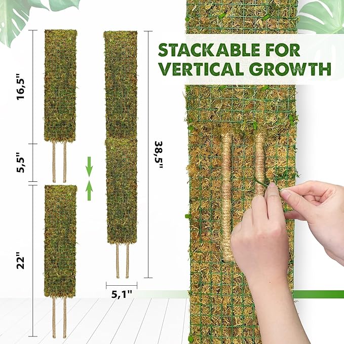 DUSPRO Flat Mesh Moss Poles for Climbing Plants Monstera Stackable Moss Pole for Plants with Real Moss Moss Plant Pole for Potted Plants Handmade Moss Stick for Indoor Plants Grow Upward 2 Pack 22”