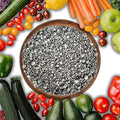 Gypsum for Soil - Calcium for Plants - Gypsum Fertilizer for Gardening, Lawn & Vegetables - Calcium for Garden (3 qts. - 6 lbs.)