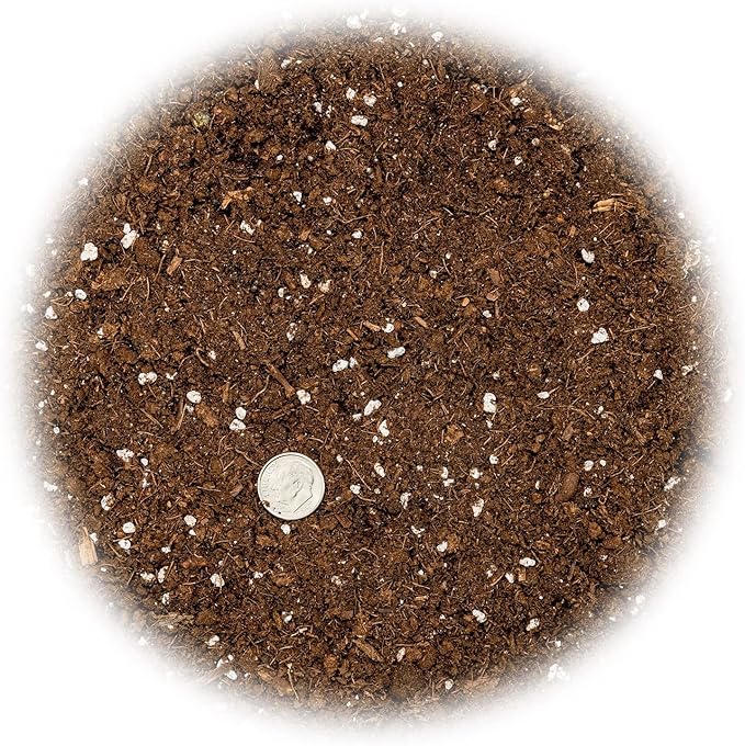 Money Tree Potting Soil, Soil Mix for Planting or Repotting Guiana Chestnut, Soil Blended to Properly Grow Money Tree Plants - (5 Quart Bag)