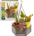 Deco Glass Geometric DIY Terrarium, Succulent & Air Plant- Hanging Mini Hexagon Shaped for Indoor Gardening Decor- Create Your own Flower, Fern, Moss Centerpiece- Amazing Holiday and Wedding Gift
