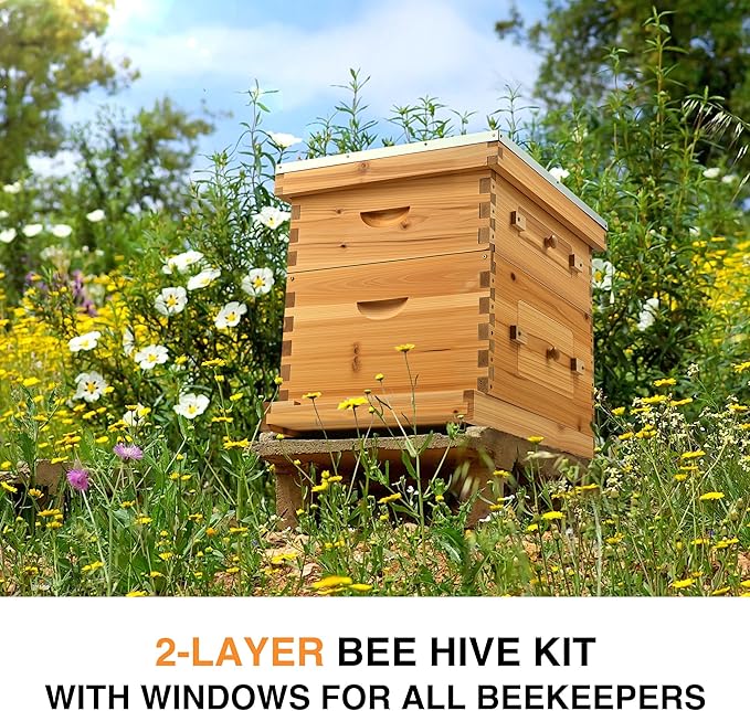 CREWORKS 10 Frame Bee Hive, 2 Layers Beeswax Coated Beehive Starter Kit with Frames & Foundations, Langstroth Bees Hives Box with Transparent Acrylic (Window Medium Box & Deep Box)