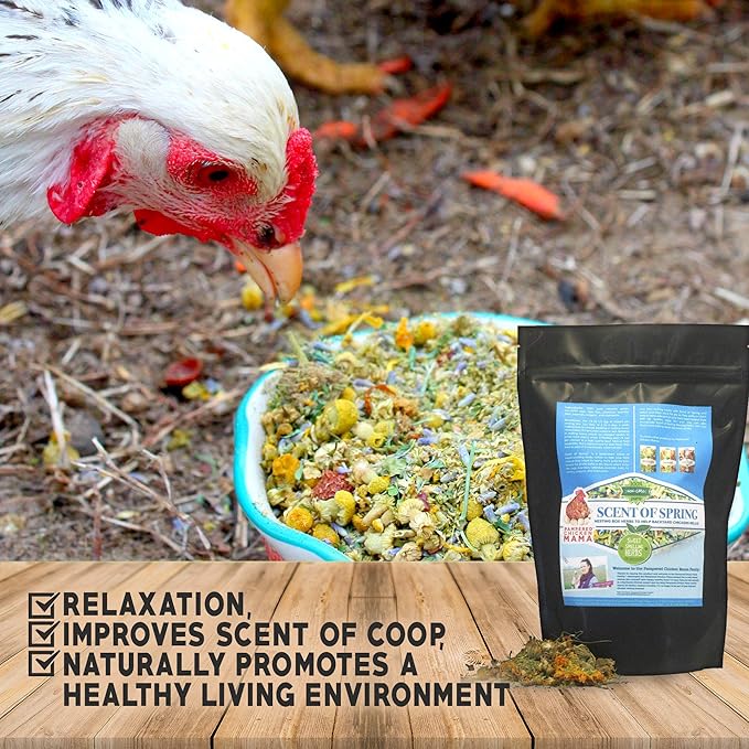 Nesting Herbs for Backyard Chickens 8 pounds - Scent of Spring - Keep Laying Hens Happy, Healthy and Relaxed