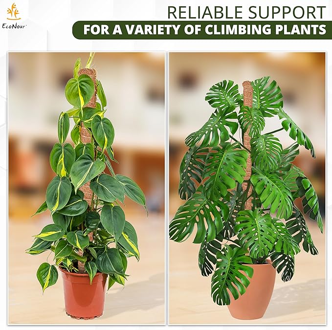 EcoNour Moss Pole for Plants – 28 inches (4 Pack) | Monstera Plant Support for Plant Climbing and Growth | Elevate Your Indoor Garden, Plant Support for Indoor Potted Plants to Grow Upwards