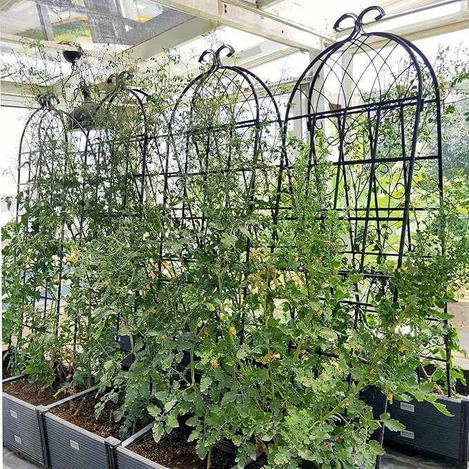 8 Pack Metal Garden Trellis 71" H Garden Fence Rustproof Trellis for Climbing Plants Support Roses Flower Outdoor Lawn Black
