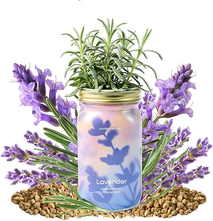 Modern Sprout Mason Garden Jar - Self-Watering Hydroponics Growing System Kit with Organic Herb Seeds - Jar Planter for Indoor Herb Garden - Seed Starter Kit - Home Decor & Gifting - Lavender