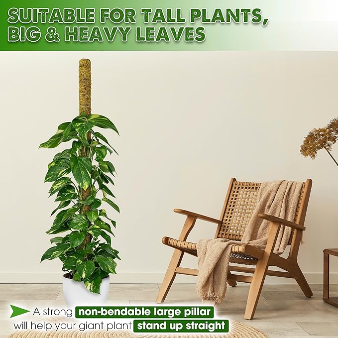 DUSPRO 59 Inches Non-Bendable Pole for Big Plants, Large Moss Pole for Plants Monstera, Plant Stakes for Indoor Plants, Monstera Plant Support, Plant Pole for Big Climbing Plants Indoor (1pc., 59'')
