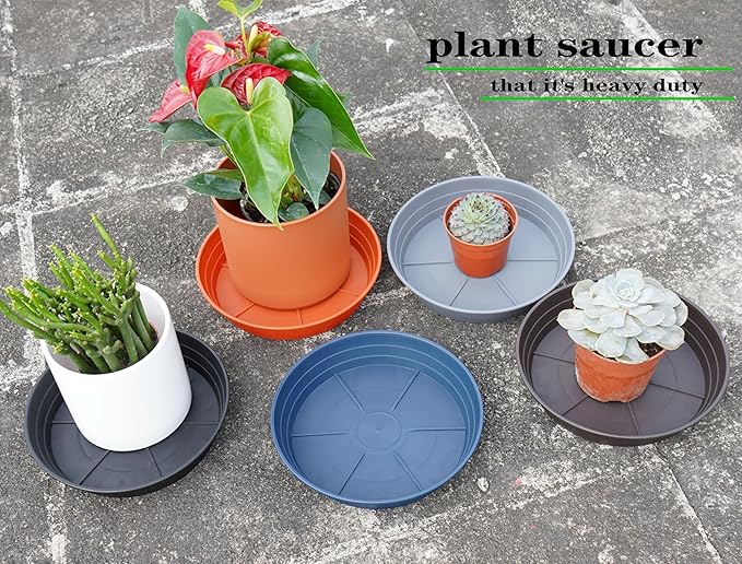 Plant Saucer 6 Inch 4 Pack 6 8 10 12 14 16 18 20 25, Plastic Plant Trays for Pots，Extra-Deep Plant Water Dray Tray, Bird Bath Bowl, Heavy Flower Plant saucers Indoors and Outdoor No Holes 6in-4 grey