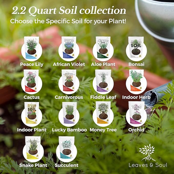 Professional Aloe Plant Soil | Premium All Purpose Blend | Large 2.2 Quarts | Ready to Use for Aloe, Cactus, Succulent Plants | Pinebark, Peat, Course Sand | Made in USA