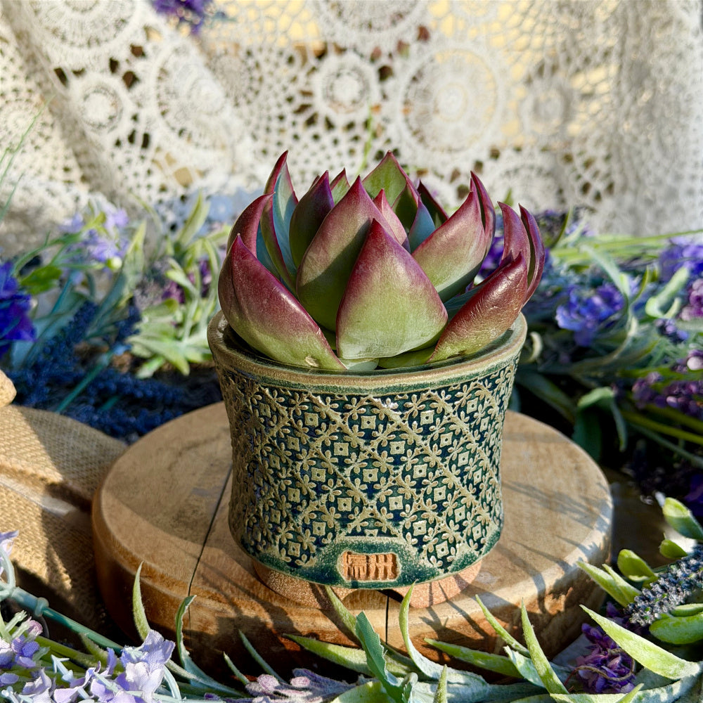 WS-0057 Premium Handmade Ceramic Planter Pot - Pot rim diameter: 3"