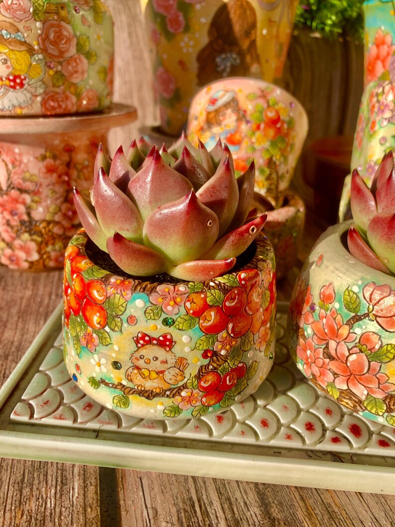 Echeveria Agavoides 'Blue Dragon' - Rare Succulent Striking Single-plant 2"-2.5" Diameter - Known For Resembling Dragon Teeth