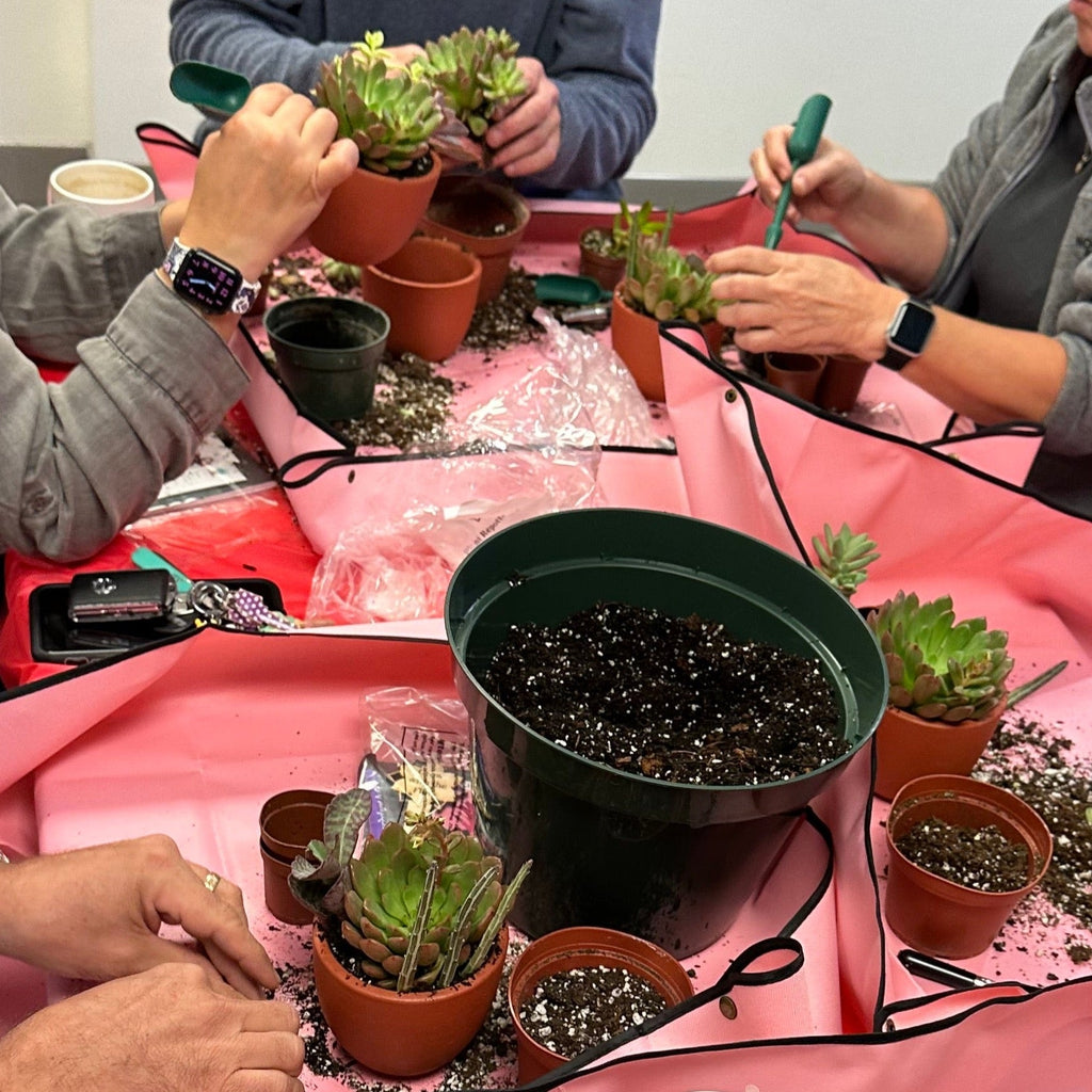 Love Grows Here Succulent Workshop- TBD