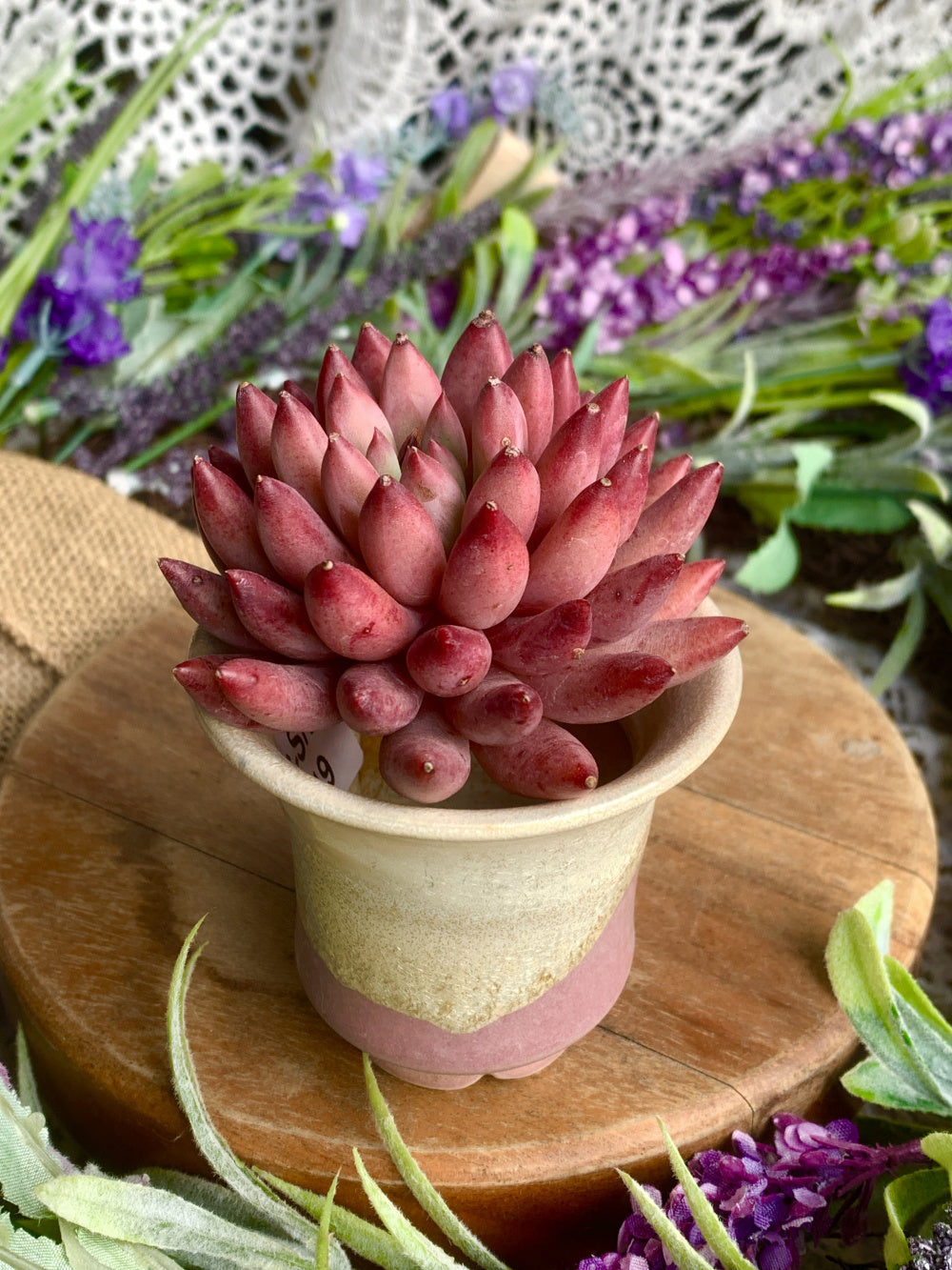 SC-0019 Rustic Handmade Clay Planter Pot - Pot Rim Diameter: 1.9"