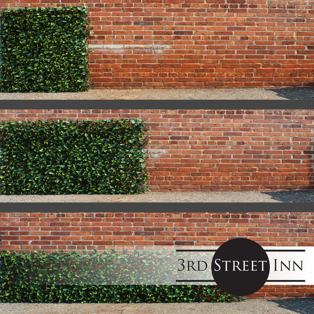 Gardenia Leaf Greenery Trellis